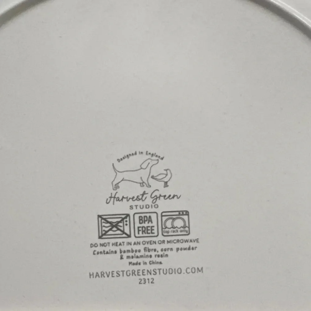 Harvest Green Studio Bamboo Strawberry Print Dinner Plates Set of 4 NEW